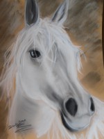 /album/chevaux/photo-1653-jpg/